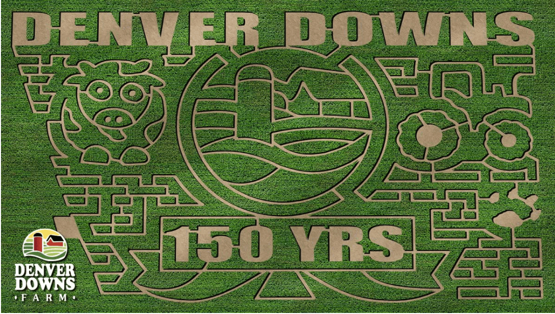 Denver Downs Farm Fall Festival & Corn Maze